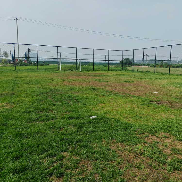 安康市安全围栏网 体育场围网 安全隔离网