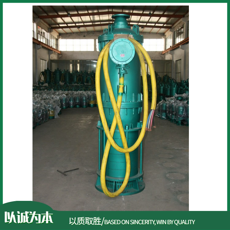 BQS20-40-5.5/N矿用隔爆型潜水排沙电泵的技术