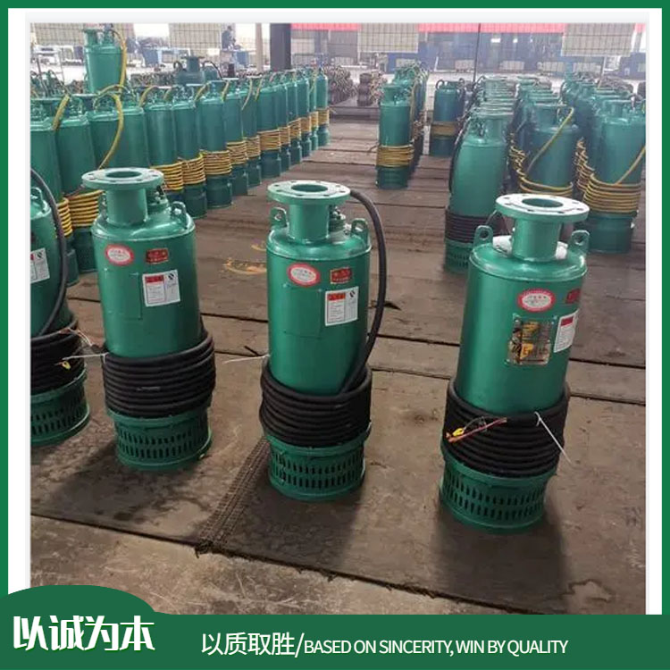 BQS100-200/3-132/N矿井小使用潜水泵 矿用防爆潜水泵