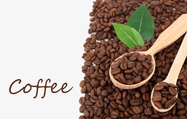 美国咖啡豆进口报关流程[进口经验干货分享]