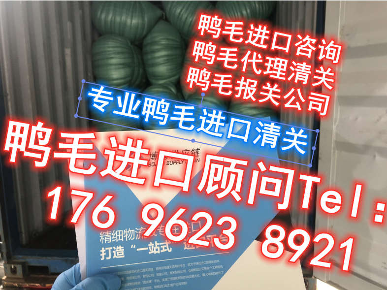 杭州进口鸭毛报关