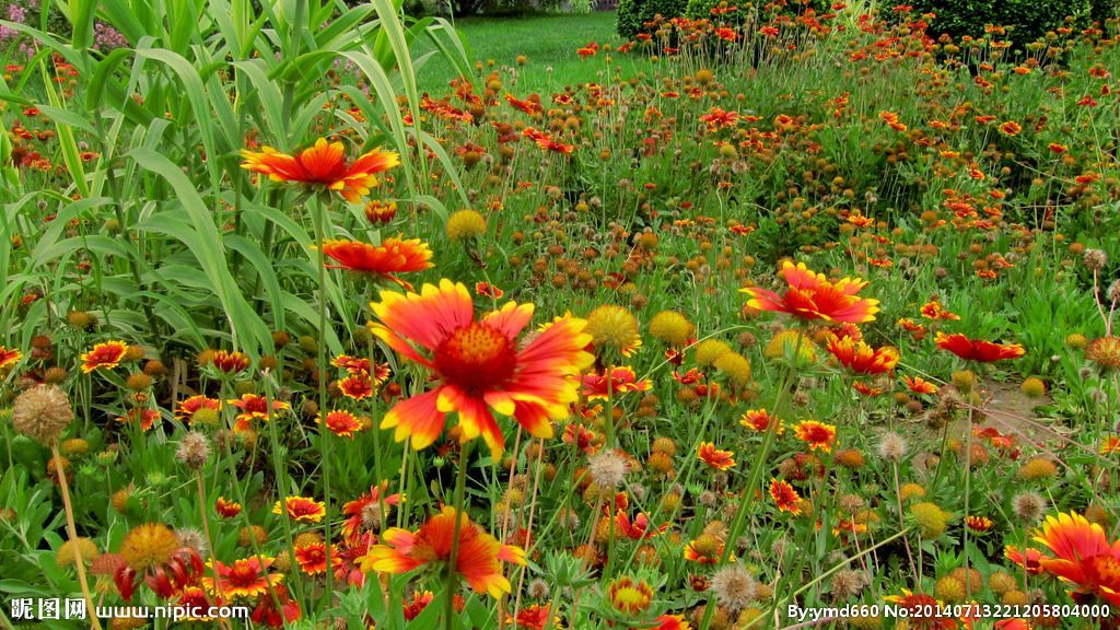 开封单独市政三级资质带安许整体转让河南土建房建市政三级资质转让