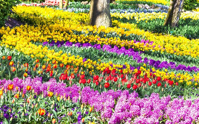 已开函新乡地基一级资质转让河南地基基础一级资质转让