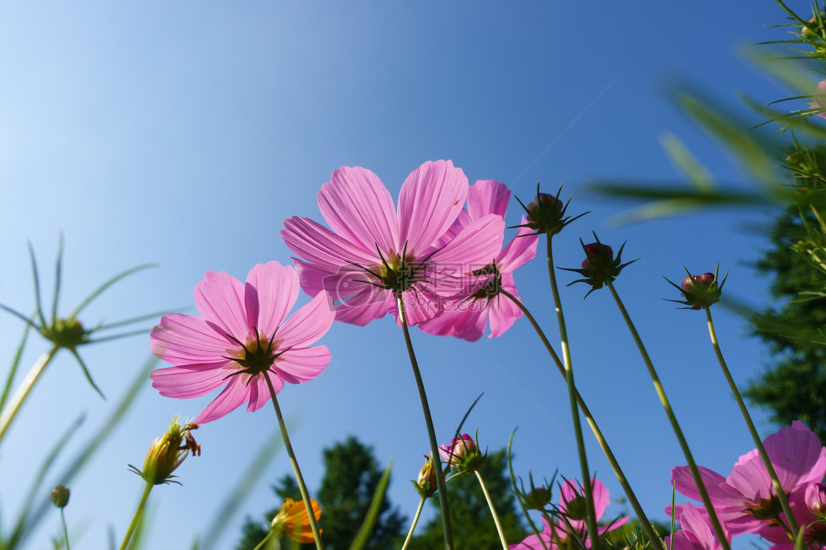 郑州多项三级总包资质转让河南单独房建三级资质转让