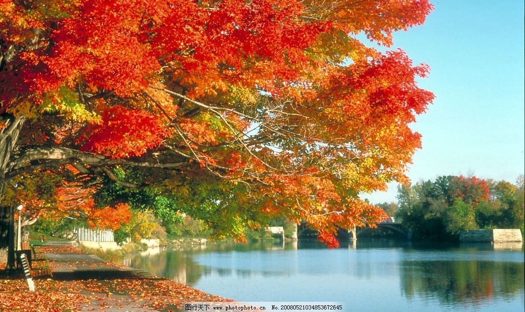 郑州/开封装饰装修一级(壹级)资质转让有什么形式?