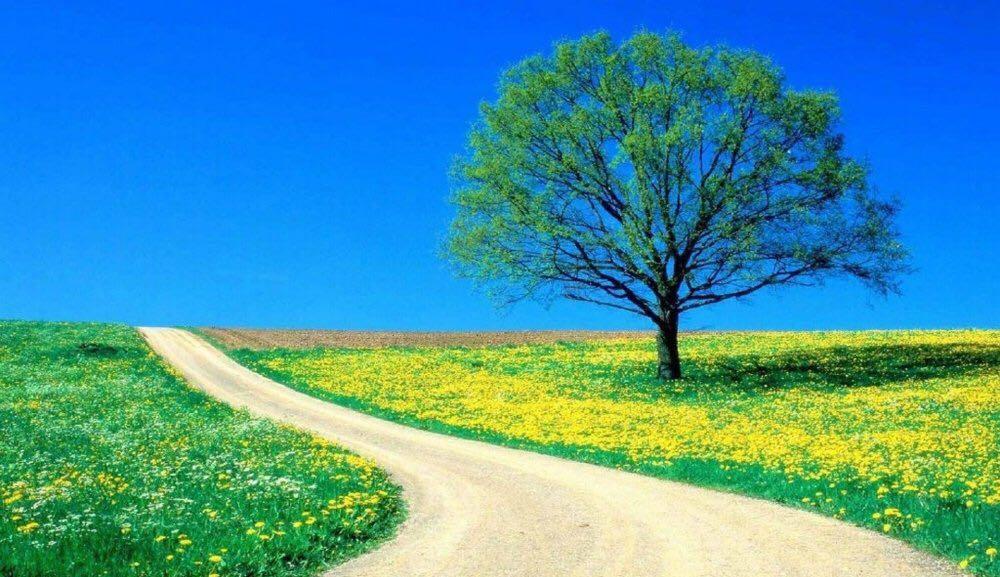 钢结构一级资质转让河南装修消防甲一级资质转让！