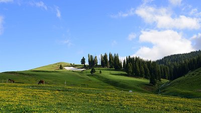 河南郑州房屋建筑工程三级总承包资质代办(多种方案选择)