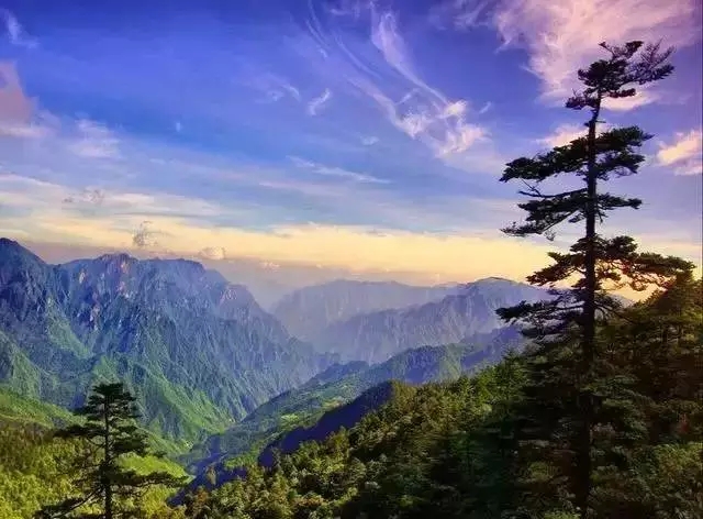 郑州建筑总承包三级资质转让!市政三级资质转让一手办理