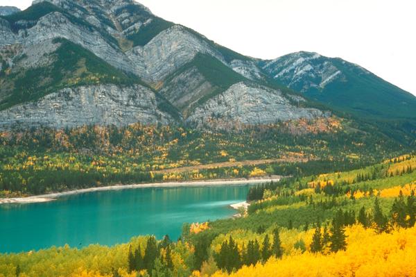 郑州市政资质转让（价格不贵过户很快）