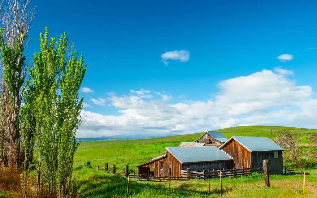 郑州房建二级资质转让《河南房建三级消防一级资质转让》