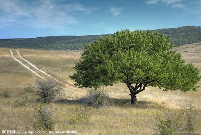 郑州电子智能化二级资质转让河南房建三级电子智能化一级资质转让