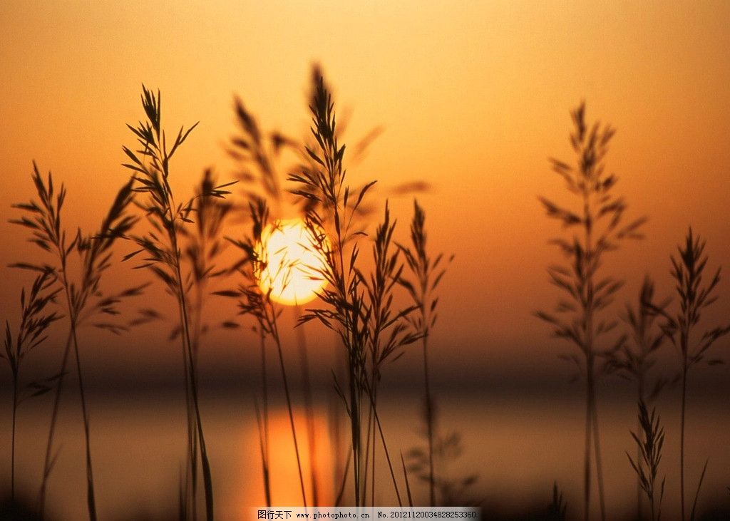 开封/郑州低价处理市政三级公路三级水利三级劳务资质转让《开心每一天》