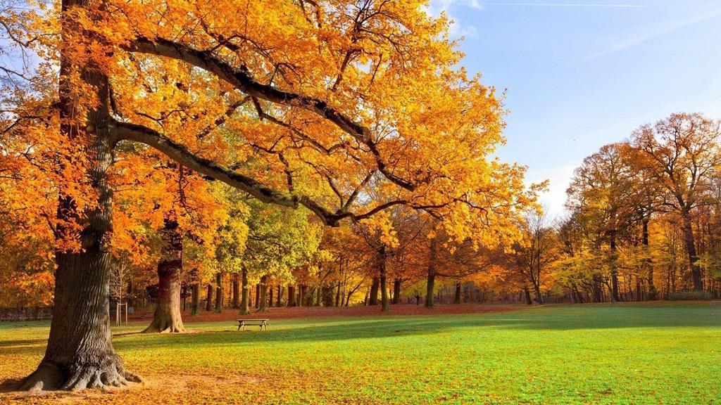 单独郑州审批制市政三级资质转让河南自贸区单独市政三级劳务资质转让