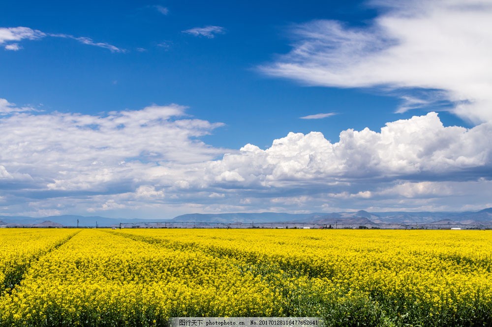 开封/郑州低价房建三级市政三级装修二级消防一级资质转让《仅此一家》