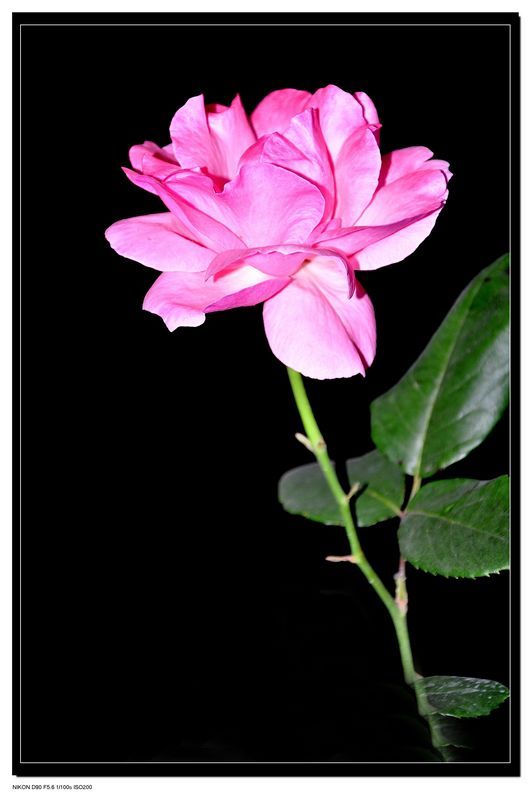 郑州财务外包郑州财务代理记账郑州乱账整理财务代理