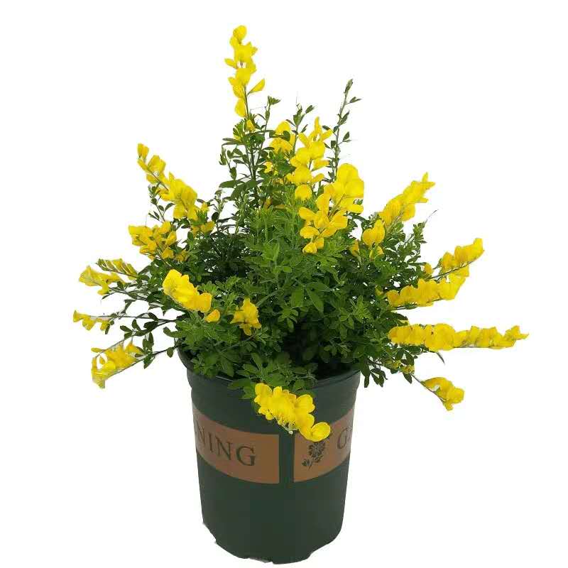 财税合规势在必行-郑州财务外包帮您合规