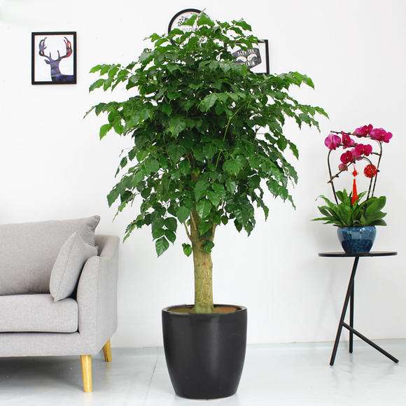 郑州财务外包的优势建筑企业财务合规