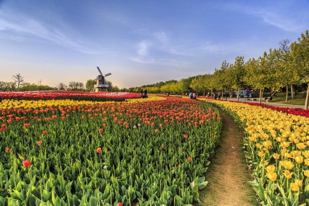 1641425776230272.jpg t01256398bf50a11b52.jpg