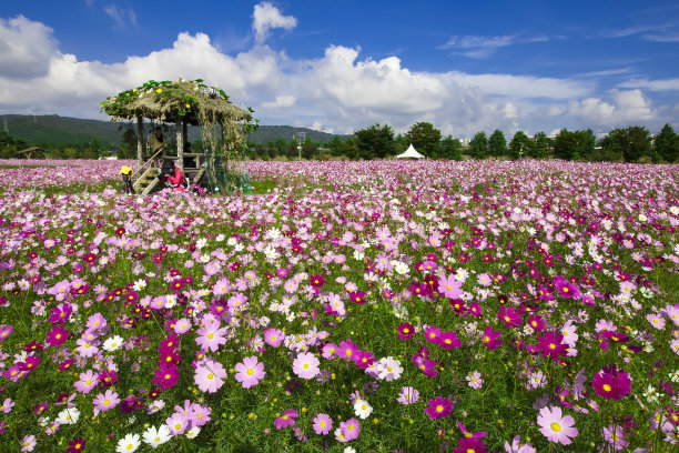 1641426013236786.jpg t01aa65d9ee48207bb7.jpg