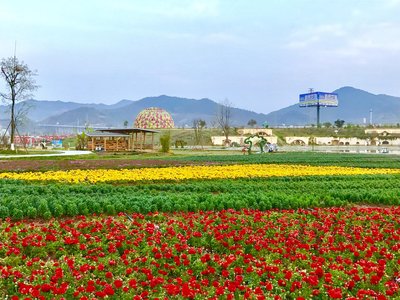 1641426237927079.jpg t01ec35552e526f76a4.jpg