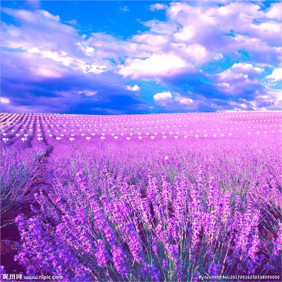 1641456447319059.jpg t01a0d55cdb4b29ef56.jpg