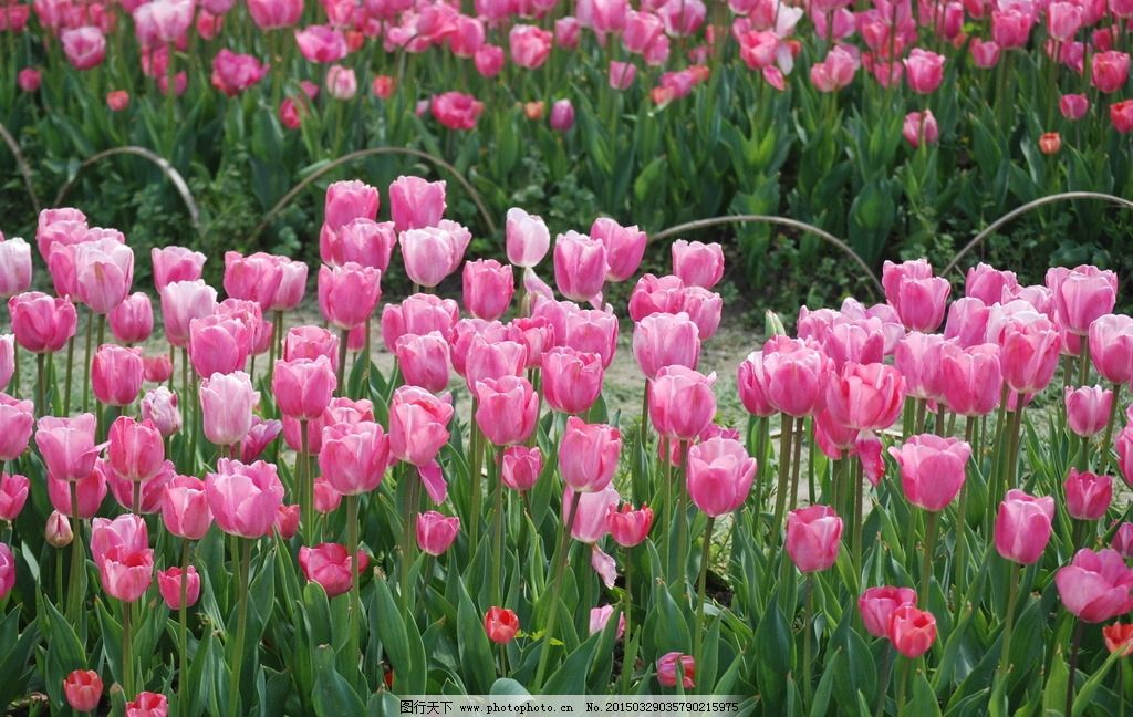 1641471309170239.jpg 0035035790215975_b.jpg