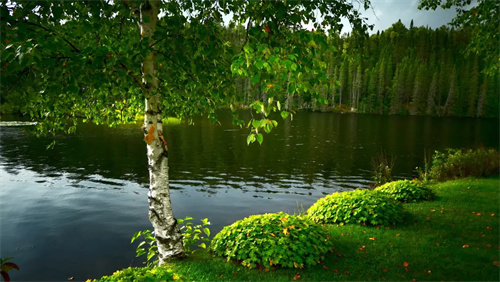 河南市政二级 市政一级转让 河南市政乙级 市政甲级转让