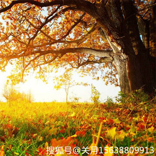 开封办理专包资质迁出落地手续装饰一防水一迁出转让