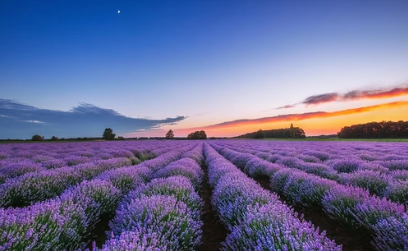 浙江地基基础一级转让浙江起重设备一级剥离转让