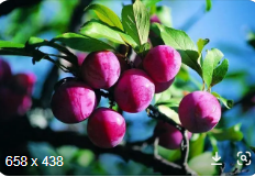 开封智能化一级转让，河南智能化一级转让