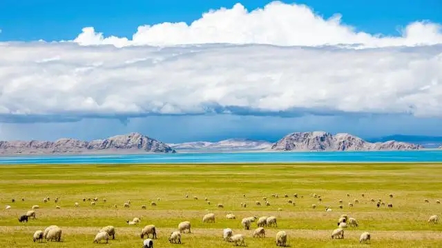 郑州房建乙级资质转让，郑州房建二级三级资质转让包含安许