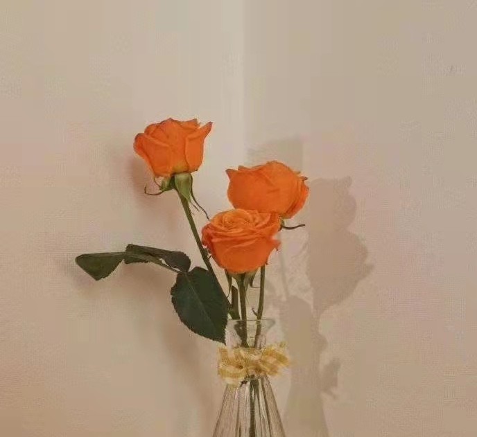 在开封尉氏县/通许县/兰考县办理装修二级资质劳务资质备案需要花费多少？