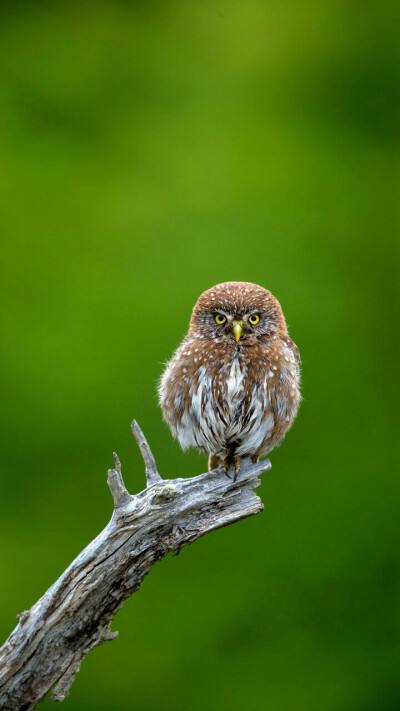 郑州市政三级资质转让郑州市公路资质转让