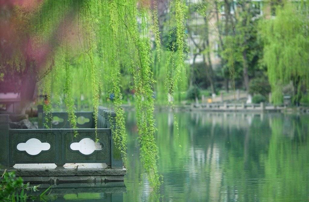 1641367374148408.jpg 微信图片_20200312142841.jpg