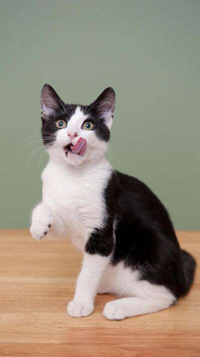 1641709976465765.jpg src=http___c-ssl.duitang.com_uploads_item_201807_07_20180707161742_nkfvr.thumb.400_0.jpg&refer=http___c-ssl.duitang.jpg