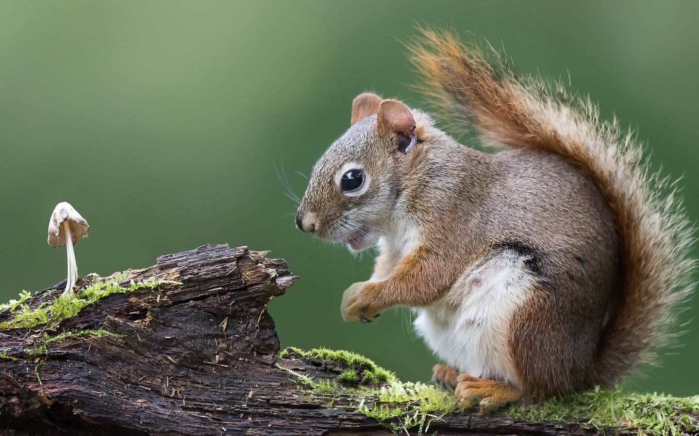 1641710600954683.jpg src=http___c-ssl.duitang.com_uploads_item_202001_01_2020010192646_WuACn.jpeg&refer=http___c-ssl.duitang.jpg