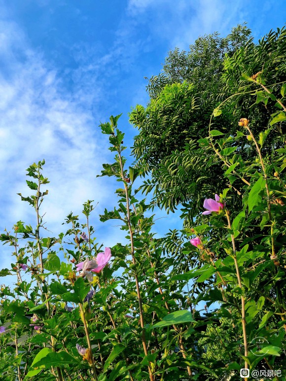 郑州装修资质办理装修二级施工资质时间短