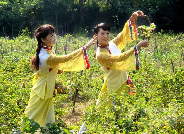 郑州/市政三级房建三级股权转让,钢钩三地基三股权转让