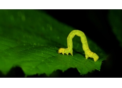 河南郑州地基一级公司转让地基二级资质转让/建筑资质转让