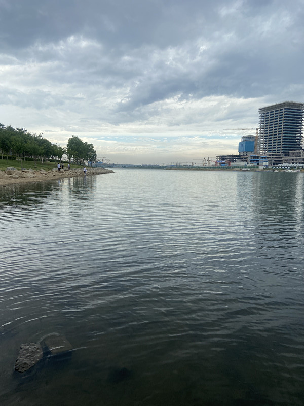 转让郑州建筑机电安装一级资质，（一二级均有）！