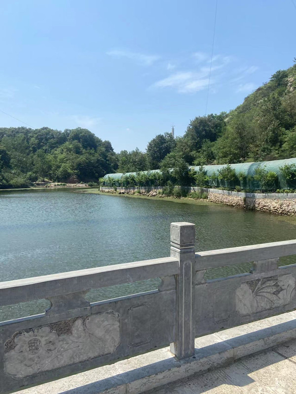 郑州地基公司基础一级资质转让