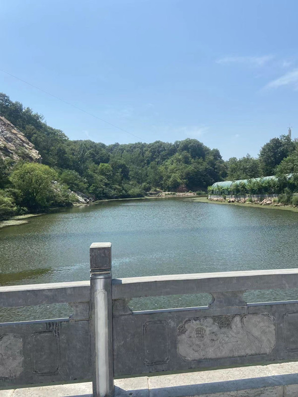 详细解读什么是自然人代开