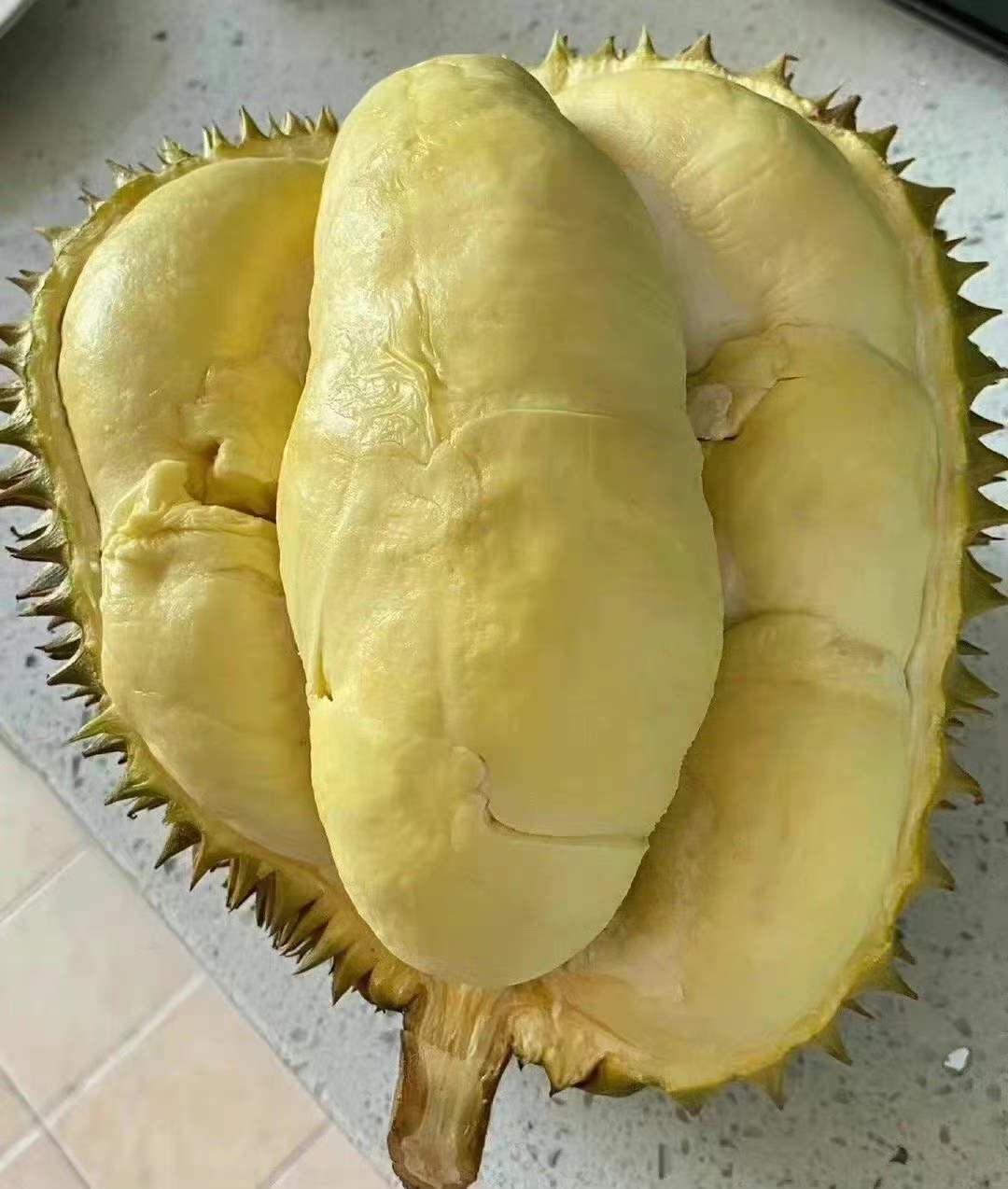 河南自然人代开/注册个体户核定征收