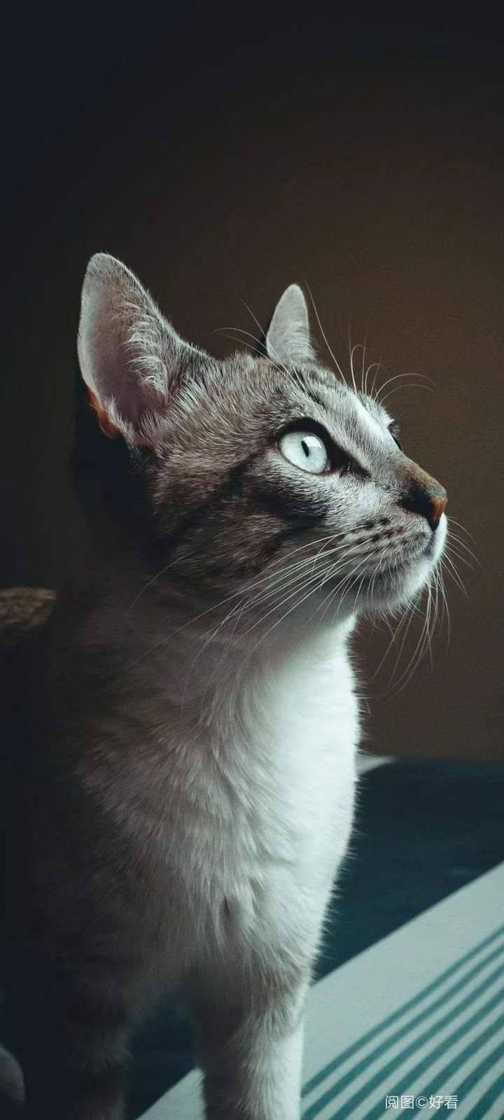 郑州通信二级资质转让，5G建设工程施工资质转让办理周期