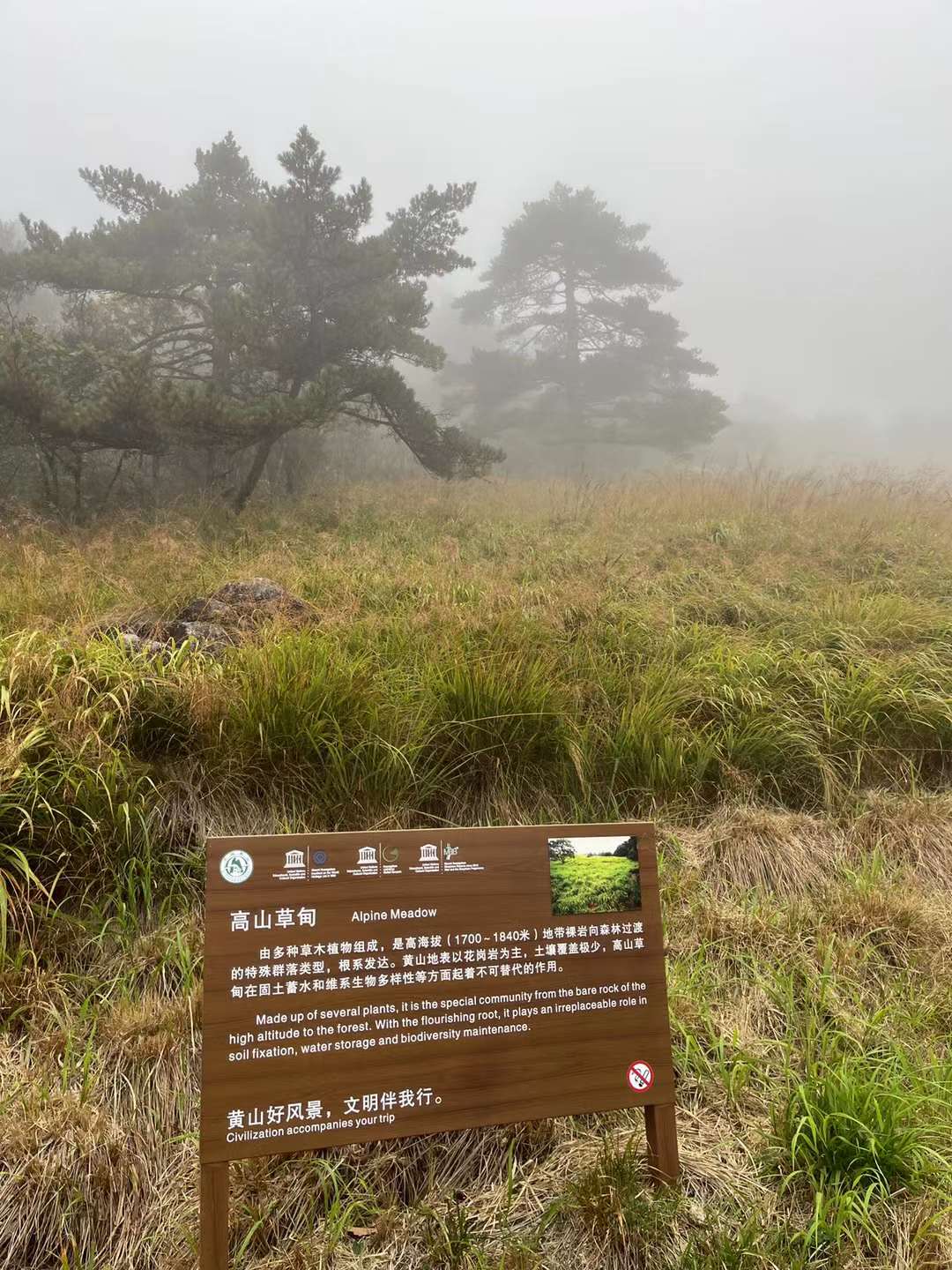 创业必看河南园区个体工商户核定征收i会非常吃香