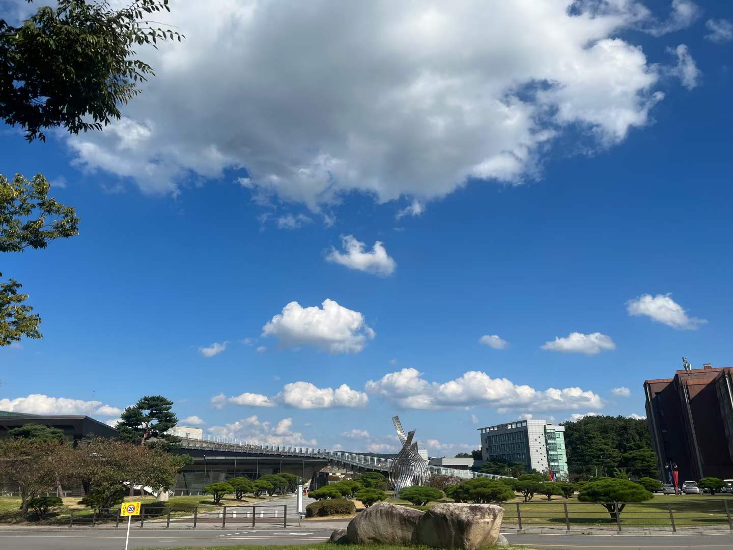 河南个体户注册新规(核定征收)