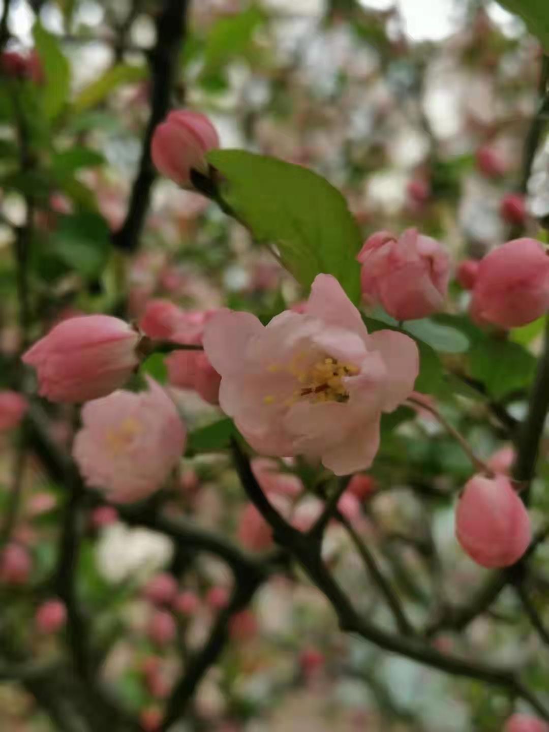 河南省内园区，自然人代征开，手续简单，解决企业成本费用少