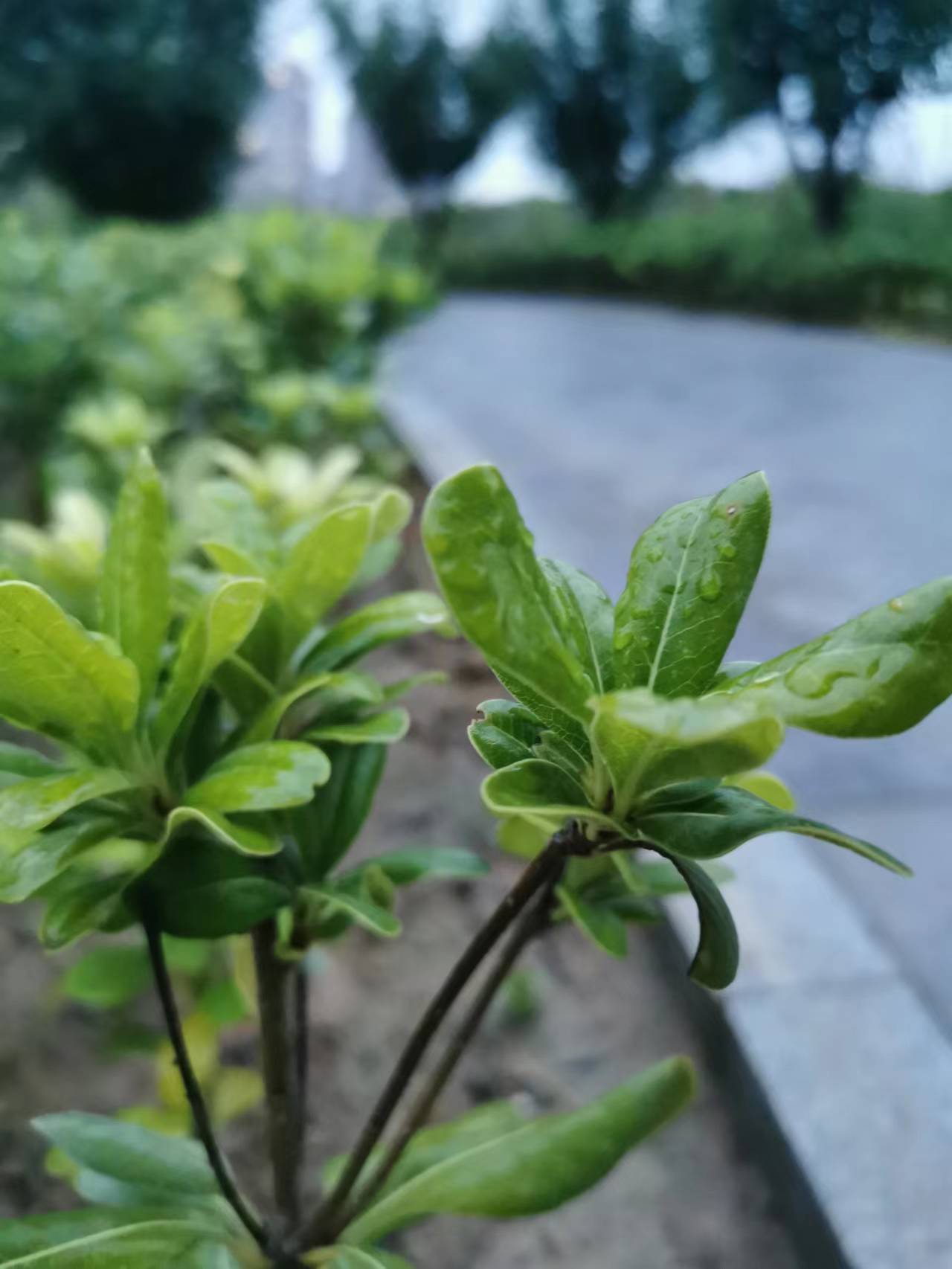 三门峡个税核定郑州优惠政策自然人代开灵活用工