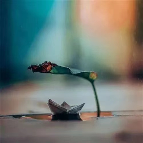 河南个独核定税收后利润直接提现个税按20%扣