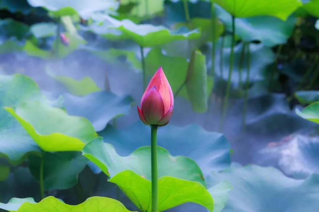 河南都有什么税收优惠政策,核定政策哪些地方有